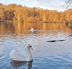 The Nigel Slater Christmas Chronicles Readalong 2024 Part 3