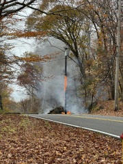 Come and tell us your dull and unexciting news 32: Calmly through the day