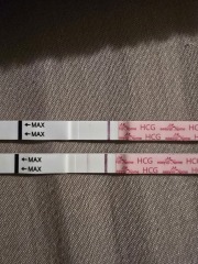 IVF/ICSI/FET December 2024