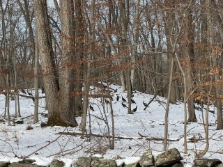 Come and tell us your dull and unexciting news 32: Calmly through the day