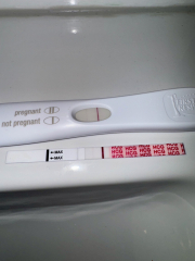 January TTC Support Group 💚