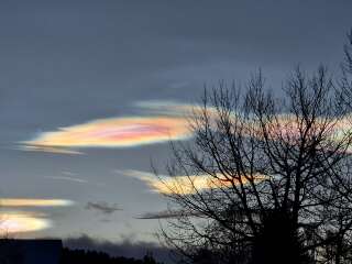 The Nigel Slater Christmas Chronicles Readalong 2024 Part 3