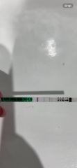 Early pregnancy