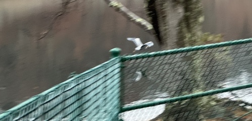 Come and tell us your dull and unexciting news 32: Calmly through the day