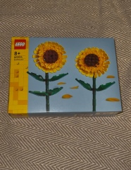 To show me your Lego collection?