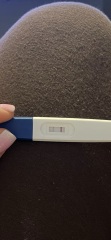Pregnancy Tests