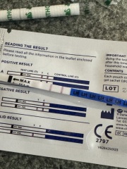 Is my ovulation test positive