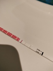 December TTC Support Group