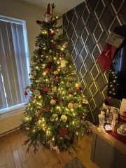 Show us your Christmas trees