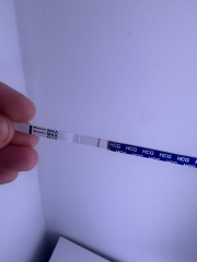 Faint positive or evap