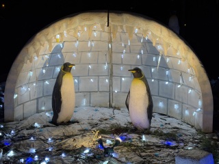 Come and tell us your dull and unexciting news 32: Calmly through the day