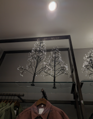 The Christmas trees in next window.