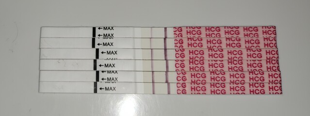 January TTC Support Group 💚