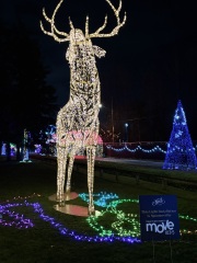 Daily Project Round 6