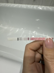 FET #5 5dp5dt BFP?