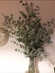 The Nigel Slater Christmas Chronicles Readalong 2024 Part 3