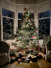 Thread 13 Starmer - facts are for lefties