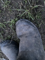 Walking boots that don't leak please?