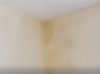 Does anyone know what this is?