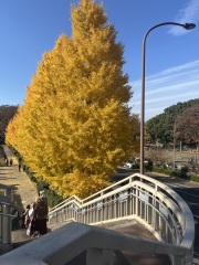 Japan planning thread