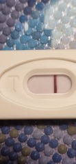 5 days until period anything on this test please