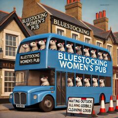 The Bluestocking - the one with the Christmas stocking