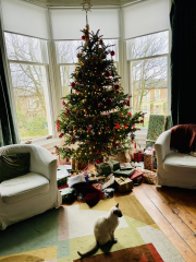 Thread 13 Starmer - facts are for lefties