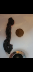 3 week period t/w images!!!