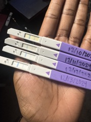 Understanding Ovulation Test