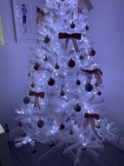 Poncetastic Christmas 2024