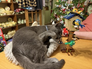 Tinsel, Glitter and Baubles - the Excellent Cats prepare to knock Everything off your Christmas Tree