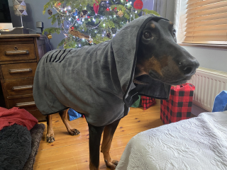 Autistic child Christmas