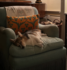 Bluestocking: the one where Boiled gets to the bar first!