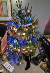 Tinsel, Glitter and Baubles - the Excellent Cats prepare to knock Everything off your Christmas Tree