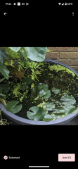 How would. I build a small wildlife pond in my garden?