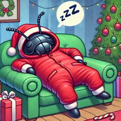 The Bluestocking - the one with the Christmas stocking