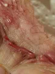 AITA? Due date the week my SIL lost her baby boy prematurely in 2020?