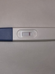 Faint positives for last 3 days - approx 17 DPO