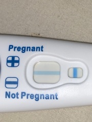 Is this positive or Evap?