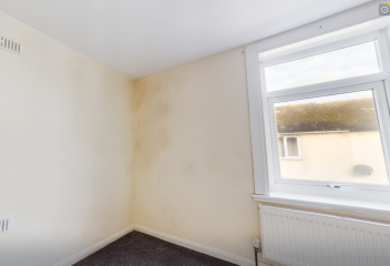 Does anyone know what this is?