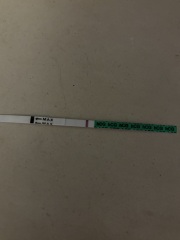 What do these mean??