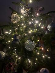 Small Christmas tree for someone who doesn't normally have a tree?