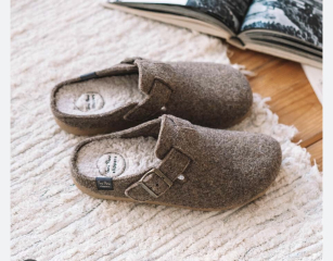 Slippers for DS17