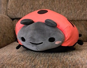 The Bluestocking - the one with the Christmas stocking