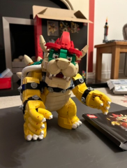 To show me your Lego collection?