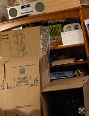 What perfectly ordinary places have you found your cat?