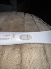 December TTC Support Group