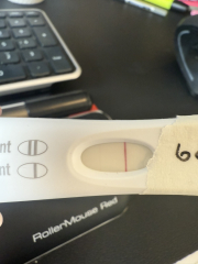 FET #5 5dp5dt BFP?