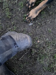 Walking boots that don't leak please?