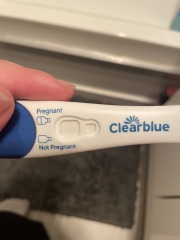 Potentially pregnant -help ! Line eyes